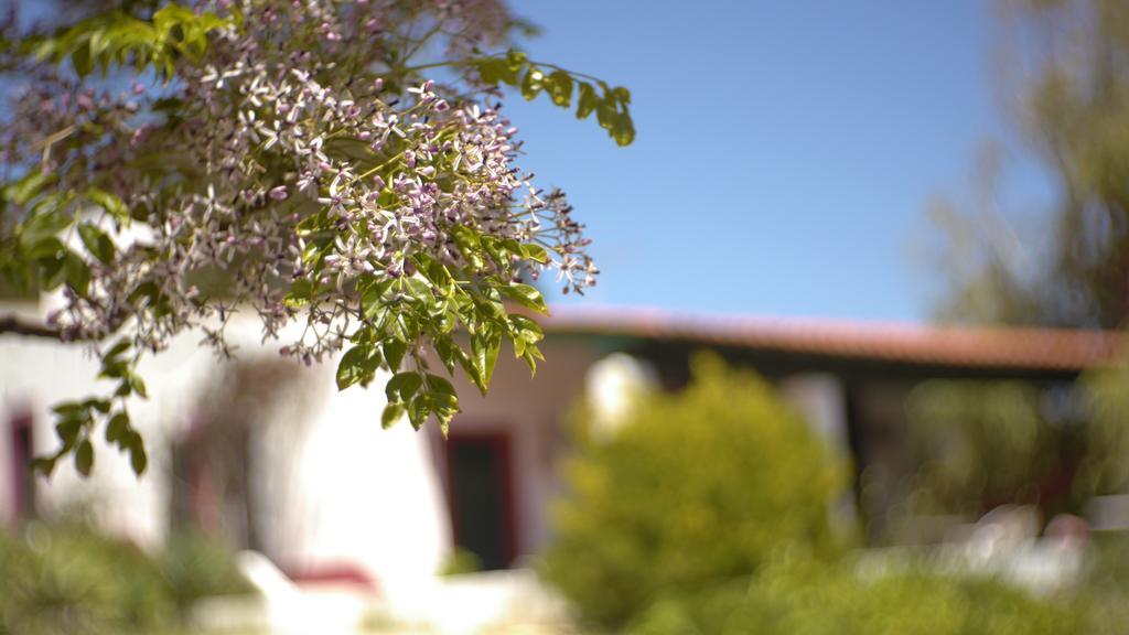 Casa Dos Mangues Guest House Sao Martinho do Porto Luaran gambar